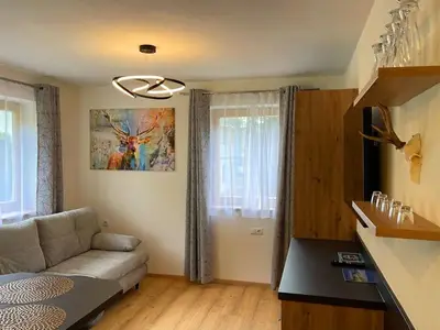 Ferienwohnung für 4 Personen (45 m²) in Schladming 4/10