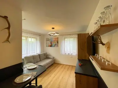 Ferienwohnung für 4 Personen (45 m²) in Schladming 7/10