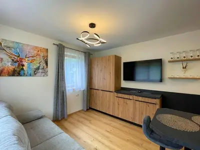 Ferienwohnung für 4 Personen (45 m²) in Schladming 9/10