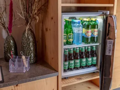 Ferienwohnung für 6 Personen (75 m²) in Schladming 7/10