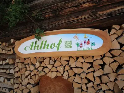 Ferienwohnung für 3 Personen (29 m²) in Schladming 2/10