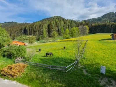 Ferienwohnung für 4 Personen (38 m²) in Schladming 7/9