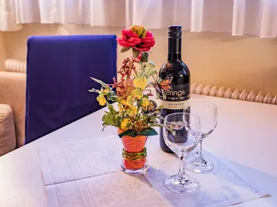 Ferienwohnung für 2 Personen (26 m²) in Schladming 6/10