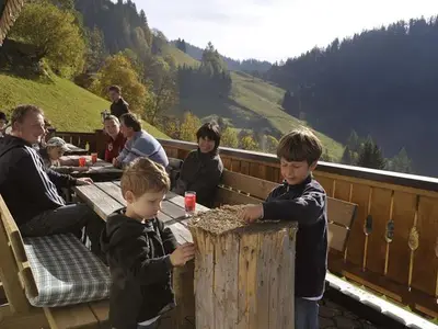 Ferienwohnung für 6 Personen (60 m²) in Schladming 10/10
