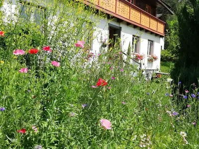 Ferienwohnung für 6 Personen (90 m²) in Schladming 5/10