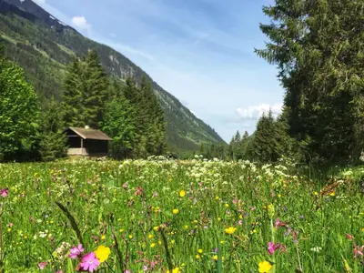 Blumenwiese Untertal © Rochlhof
