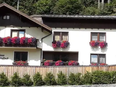 Haus Vorderansicht Sommer