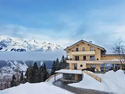 Holzhackerin Apartmenthaus Schladming