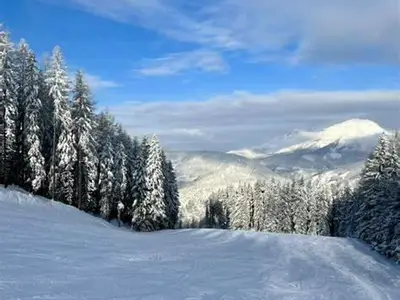 Winter