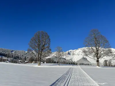 Langlauf