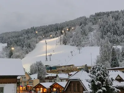 Ferienwohnung für 6 Personen (65 m²) in Schladming 10/10