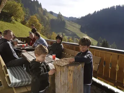Terrasse am irxnerhof