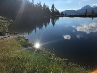 Ferienwohnung für 6 Personen (60 m²) in Schladming 5/10