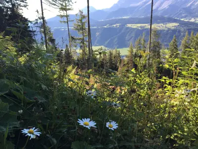 Ferienwohnung für 6 Personen (60 m²) in Schladming 7/10