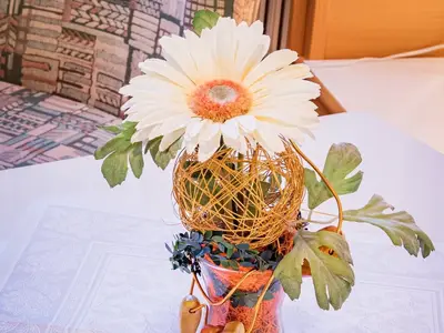 Ferienwohnung für 3 Personen (26 m²) in Schladming 7/10