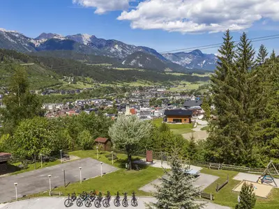 ALP-EXT-VIEW-2025-001