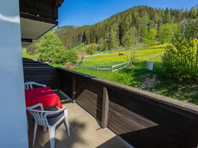 Ferienwohnung für 4 Personen (40 m²) in Schladming 1/10