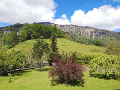 Blick aus dem Garten