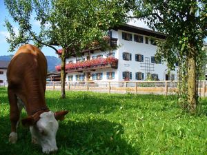 Ferienwohnung für 2 Personen (36 m&sup2;) in Schleching