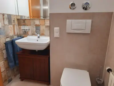 Ferienwohnung für 3 Personen (52 m²) in Schleching 10/10