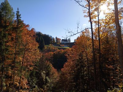 Blick zum Streichen vom Wanderparkplatz