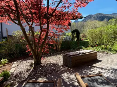 Terasse Frühling