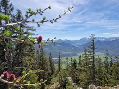 Bergwelt Schleching