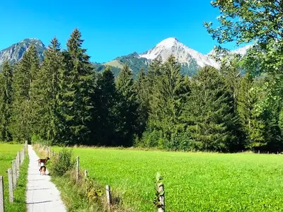 Umgebung