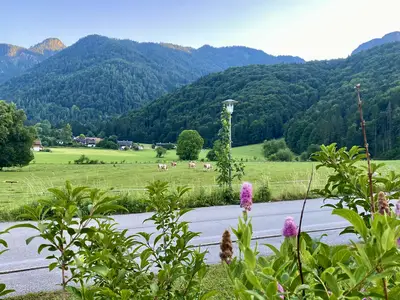 Ausblick von der Terrasse