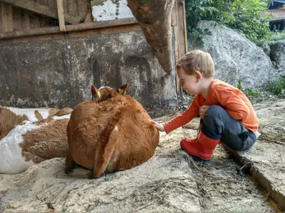 Kälbchen streicheln ist einfach toll...