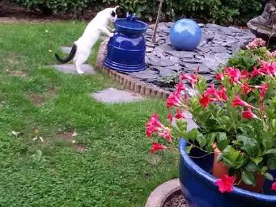 Garten.