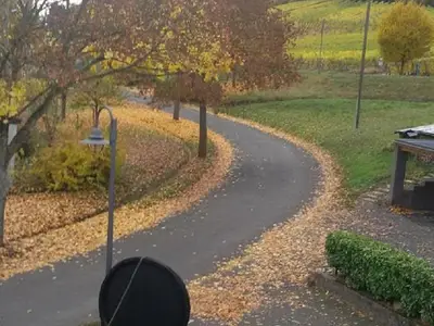 Herbst