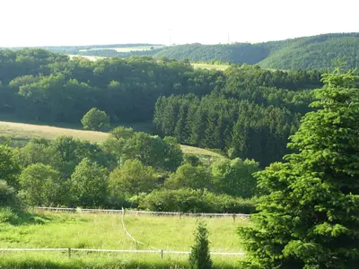 Ferienwohnung für 3 Personen (75 m²) in Schleiden 9/10