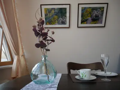 Ferienwohnung für 4 Personen (45 m²) in Schleswig 9/10