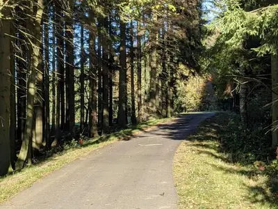 Ferienwohnung für 3 Personen (43 m²) in Schlettau 7/10