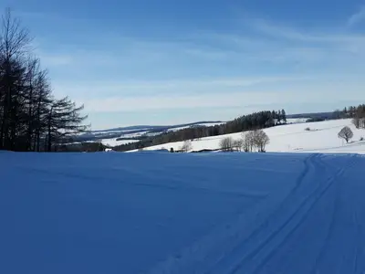 Loipen auf dem Plateau