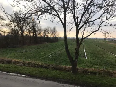 Ferienwohnung für 7 Personen (120 m²) in Schlichting 10/10