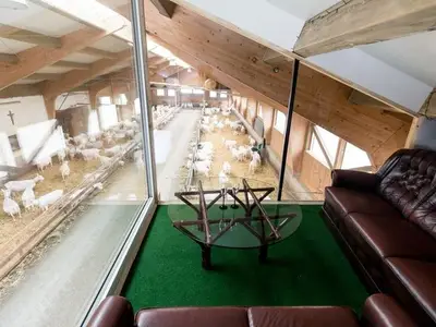 Ferienwohnung für 2 Personen (60 m²) in Schlierbach 5/10