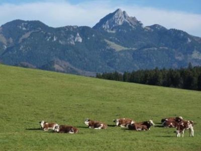 Ferienwohnung für 4 Personen (50 m²) in Schliersee 3/10