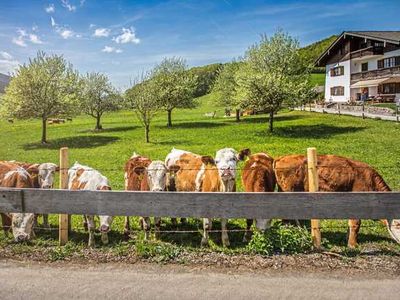 Ferienwohnung für 6 Personen (120 m²) in Schliersee 3/10