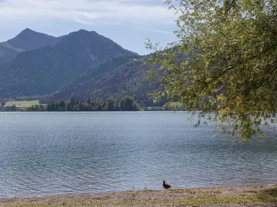 Ferienwohnung für 2 Personen (55 m²) in Schliersee 10/10