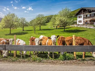 Ferienwohnung für 6 Personen (100 m²) in Schliersee 3/10
