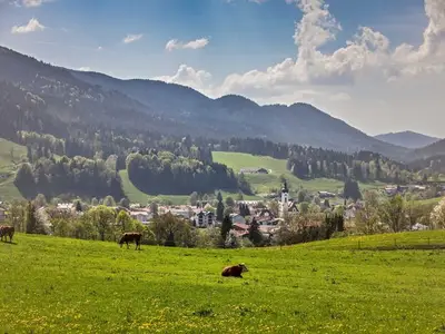 Ferienwohnung für 6 Personen (100 m²) in Schliersee 4/10