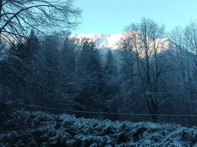 Ferienwohnung für 4 Personen (47 m²) in Schliersee 2/10