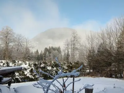 Ferienwohnung für 4 Personen (47 m²) in Schliersee 5/10