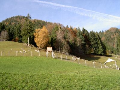 gigantischer Herbsttag