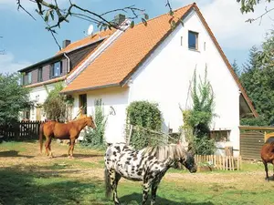 Ferienwohnung für 4 Personen (75 m²) in Schloßheck