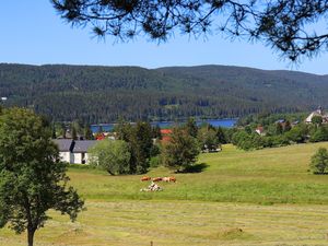 22511621-Ferienwohnung-3-Schluchsee-300x225-2