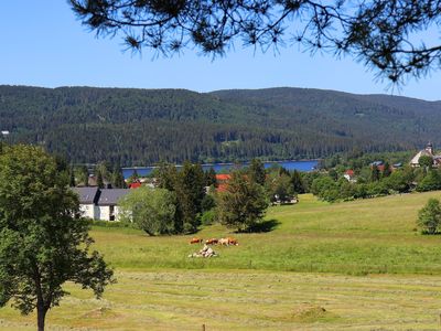 Ferienwohnung für 3 Personen (50 m²) in Schluchsee 3/10