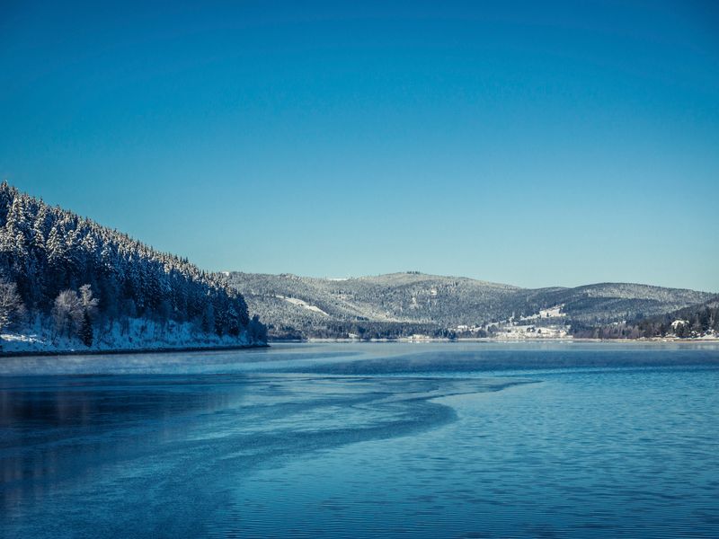 23661352-Ferienwohnung-4-Schluchsee-800x600-2